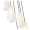 Z-Lite Farrell 7 Light Chandelier, 18in. W x 13.75in. H, Brushed Nickel 3043P7-7R-BN - alternate 4